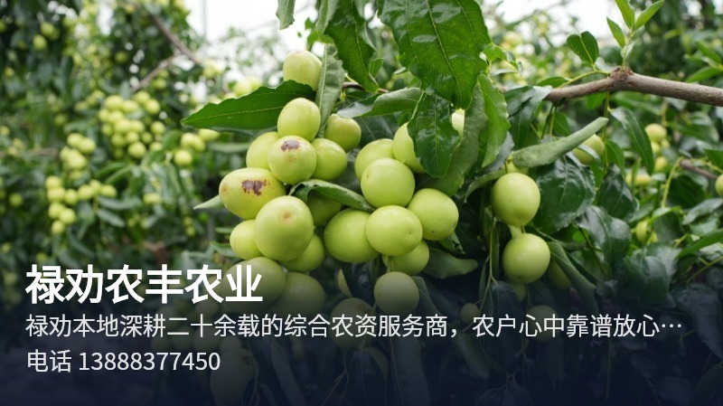 农丰农业 昆明综合农资服务商肥料供应