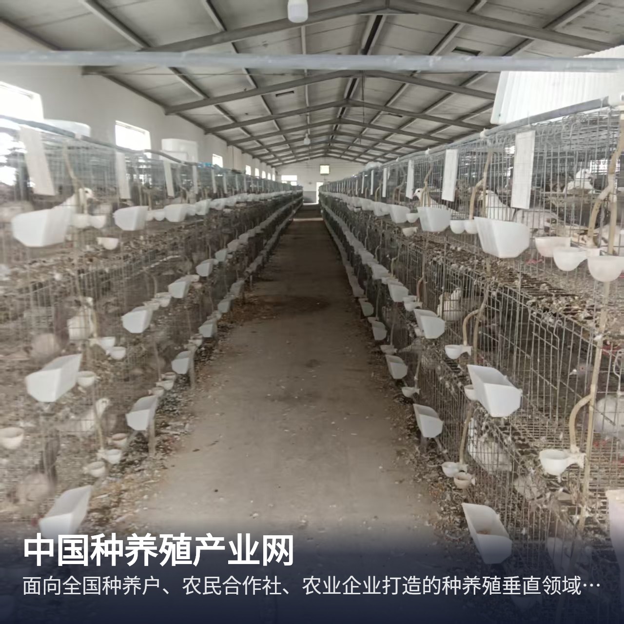 种养殖产业网 瑞昌农产品