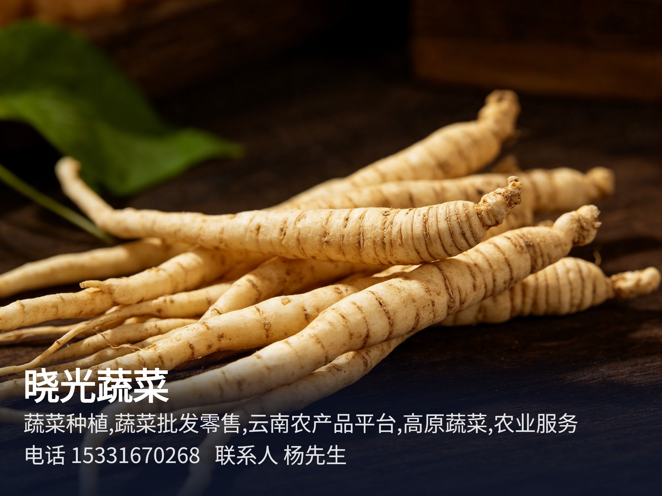晓光蔬菜 大理蔬菜种植,蔬菜批发零售,云南农产品平台,高原蔬菜,农业服务