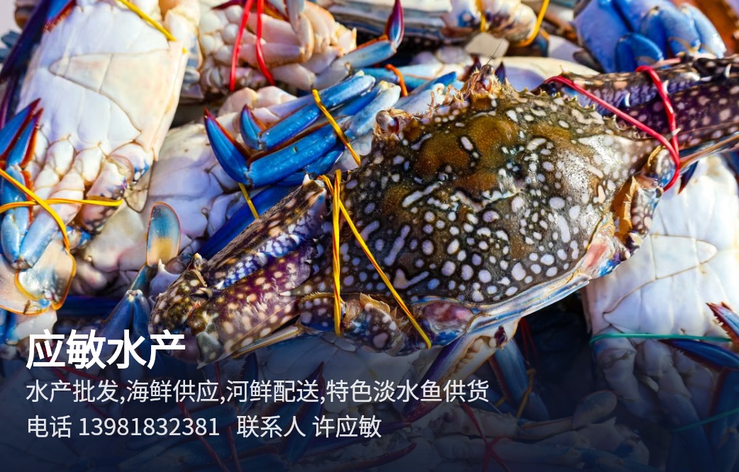 应敏水产 双流水产批发供应服务