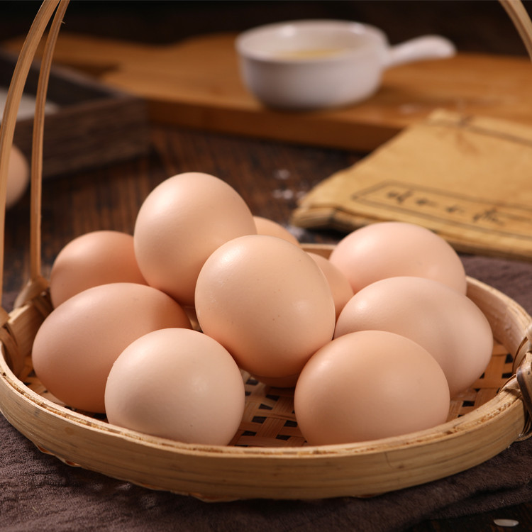 山西的土鸡蛋质量如何_太原周边土鸡蛋供应情况_山西捷特锐新型材料科技有限公司