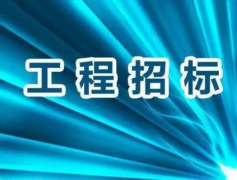 成都招投标服务：西南代理企业助您顺利中标