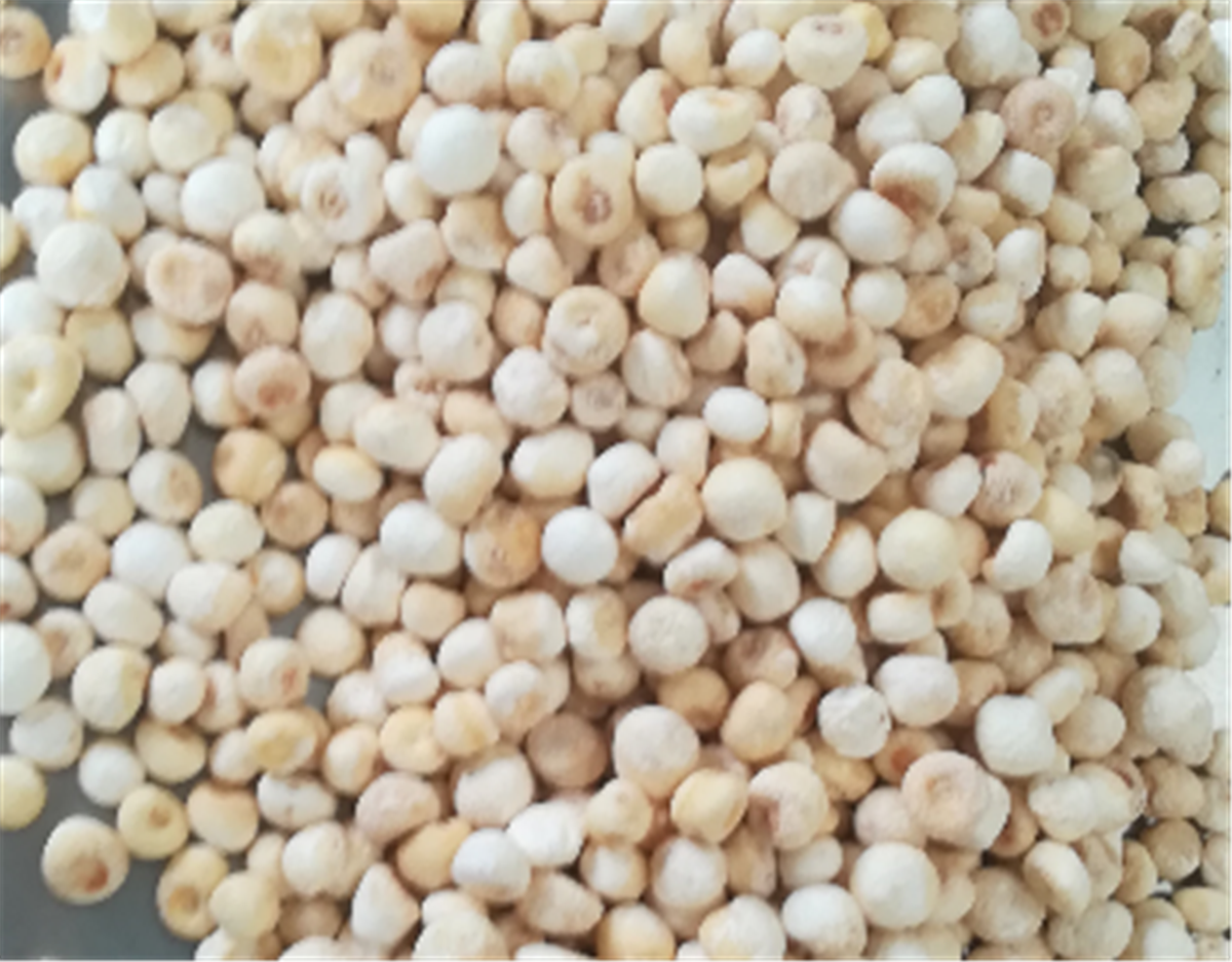 313f4e6d-a523-4ece-81cc-293c99084faa.png 313f4e6d-a523-4ece-81cc-293c99084faa.png