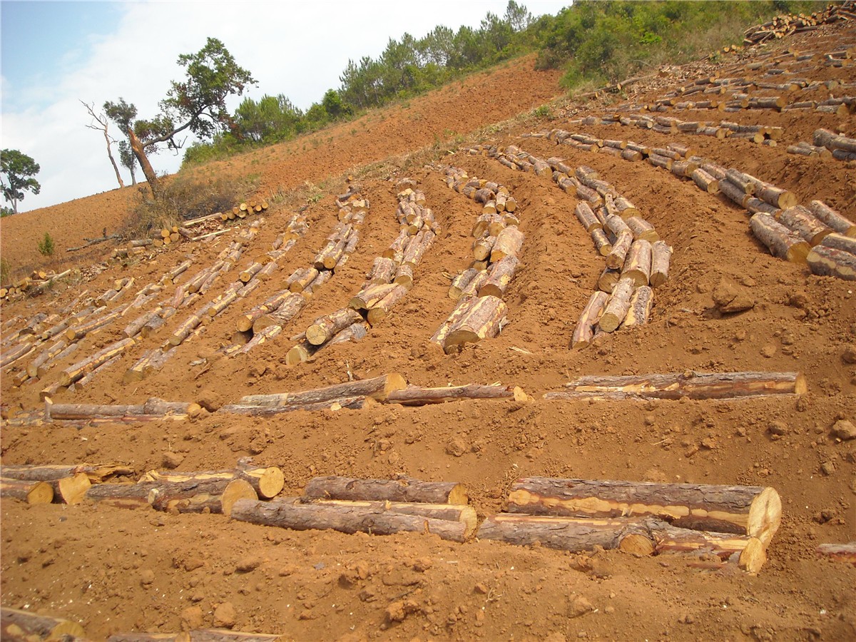 3f082336-a54b-40c4-9db6-072cb04ccf8c.jpeg 3f082336-a54b-40c4-9db6-072cb04ccf8c.jpeg