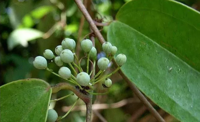 9da89cd4-de98-49d1-bb96-fe6149fe57d6.png 9da89cd4-de98-49d1-bb96-fe6149fe57d6.png