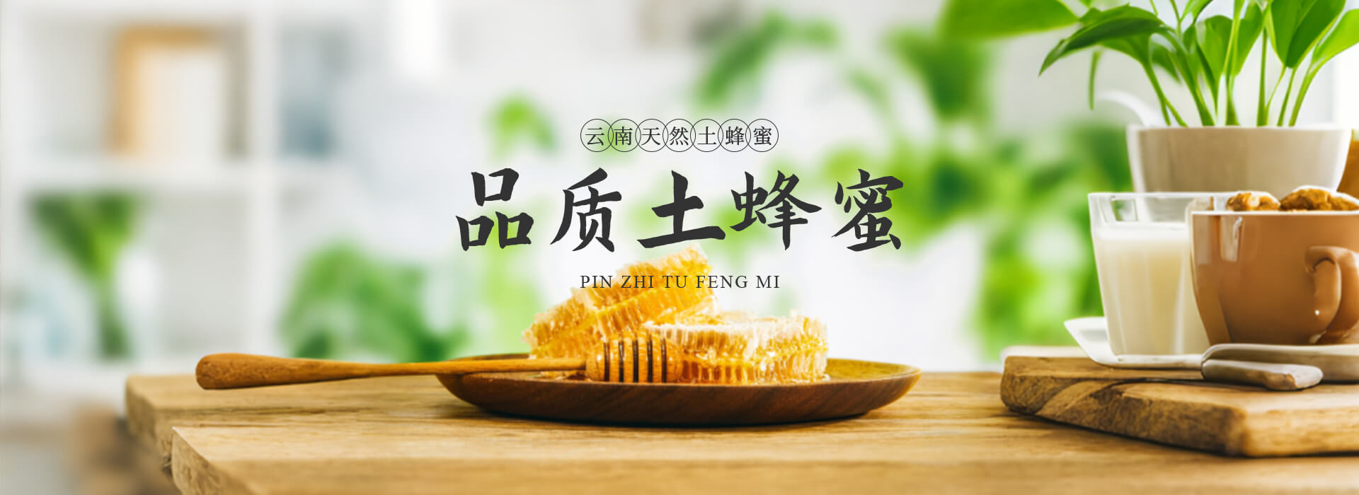 PC/WAP首页Banner1