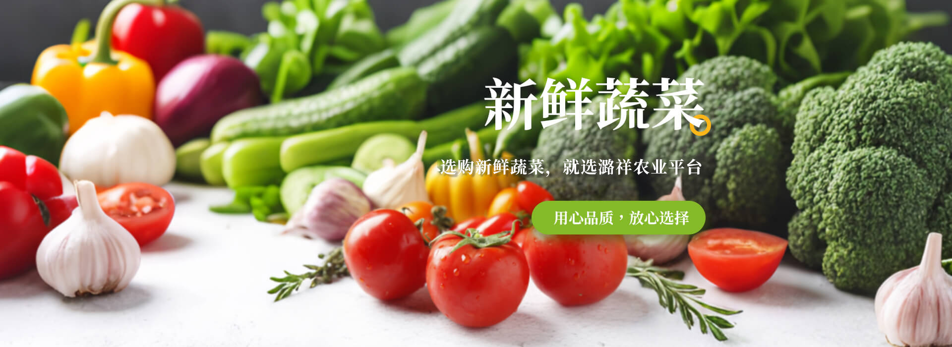 PC/WAP首页Banner2