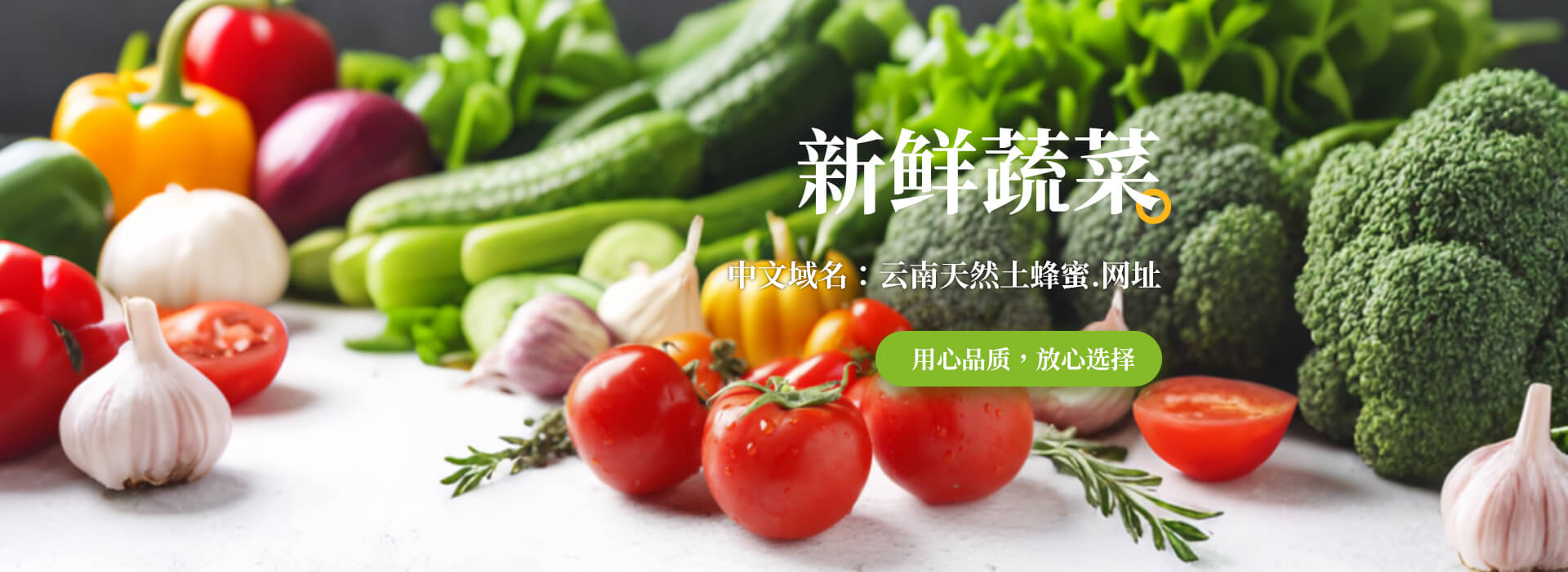 PC/WAP首页Banner2