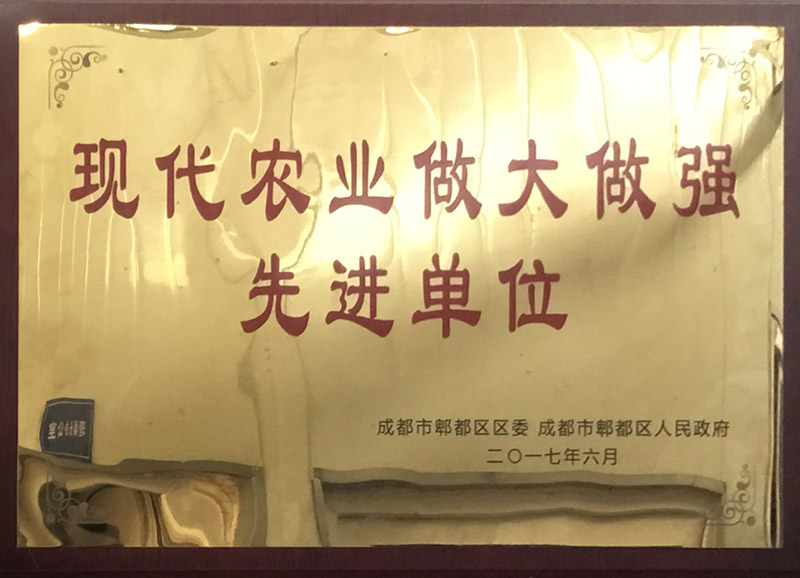 33d72512-9f9b-46f1-9796-03b01cda4102.jpg
