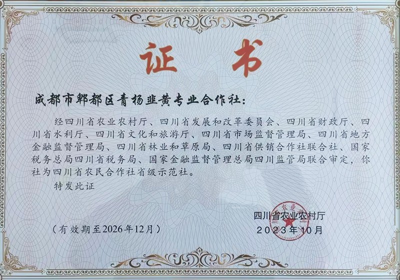 77ecbff9-870b-4a6a-975a-5d74a6b9e20a.jpg