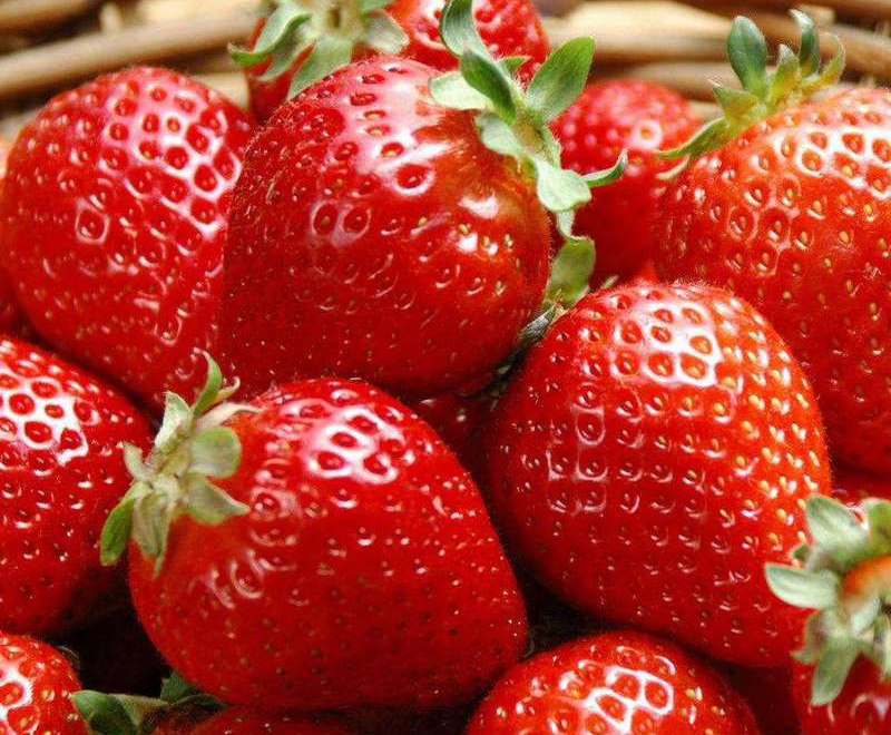 新鲜的草莓_草莓多少钱相关