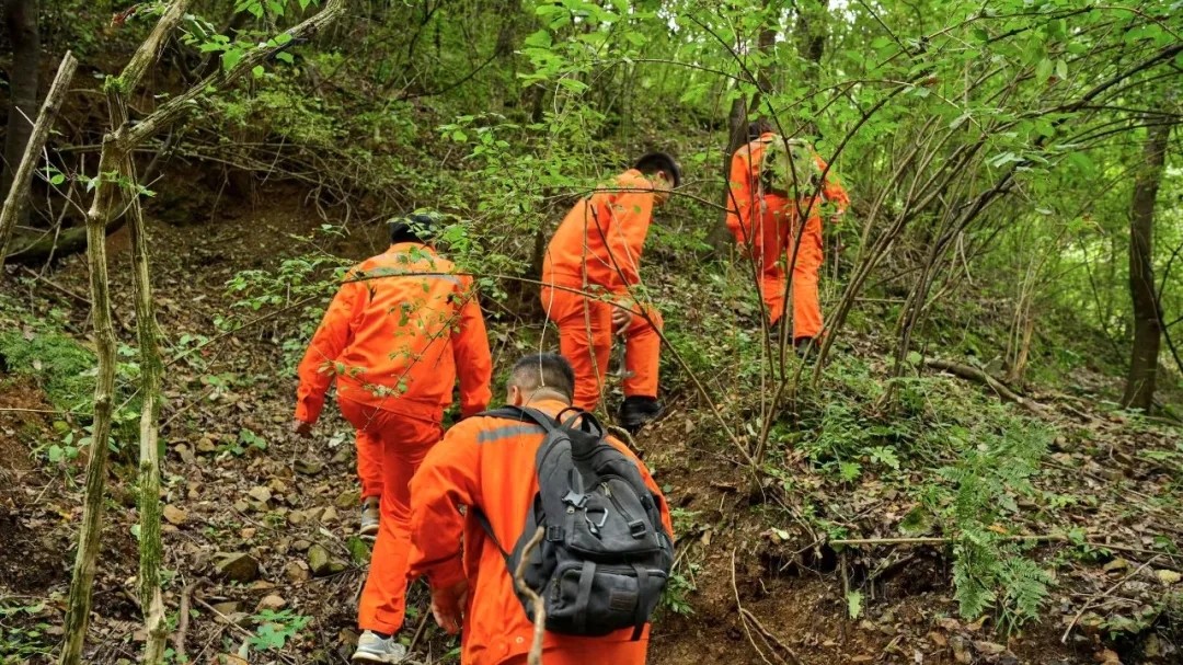 01d06d51-5e0e-4135-94e0-4381c3e717ba.jpg 01d06d51-5e0e-4135-94e0-4381c3e717ba.jpg