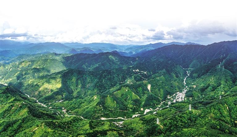 4871f8f4-68b6-4dc4-b882-1225df5c90bb.jpg 4871f8f4-68b6-4dc4-b882-1225df5c90bb.jpg