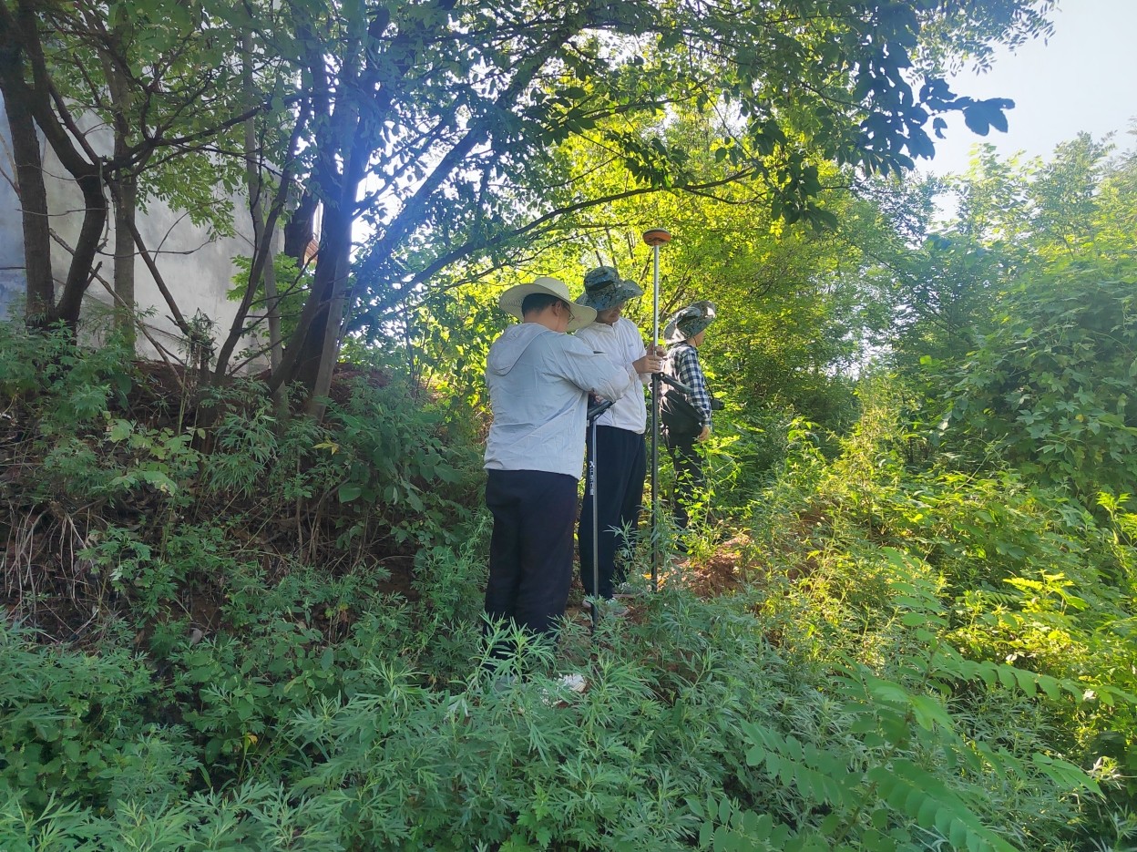 57d66a16-f1ef-467e-bbfd-8fed3338c199.jpg 57d66a16-f1ef-467e-bbfd-8fed3338c199.jpg