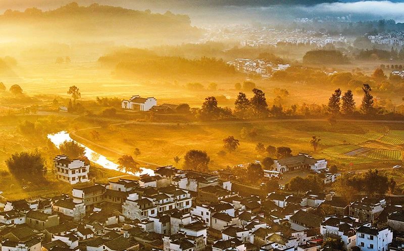 6314f9d5-611c-4548-ac07-baae88969efd.jpg 6314f9d5-611c-4548-ac07-baae88969efd.jpg