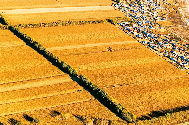 7f8dec21-80d8-4da2-99a6-2e7ad26d564d.jpg 7f8dec21-80d8-4da2-99a6-2e7ad26d564d.jpg