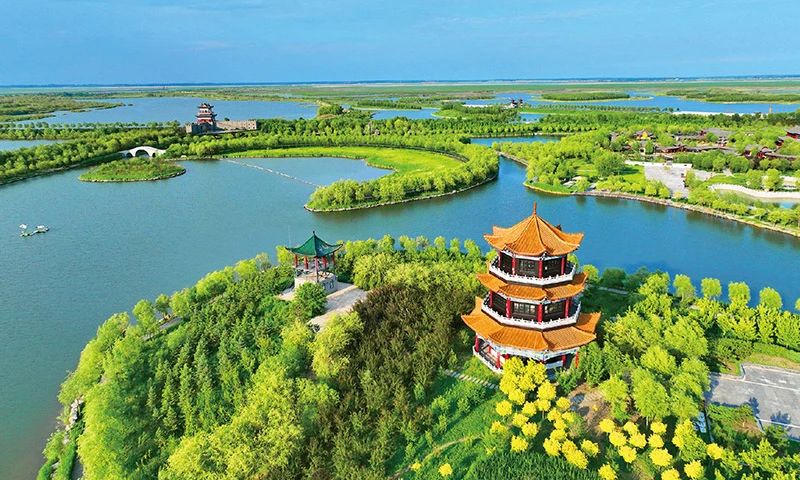 81d89577-d2c0-4e81-864b-8260705e1bf0.jpg 81d89577-d2c0-4e81-864b-8260705e1bf0.jpg