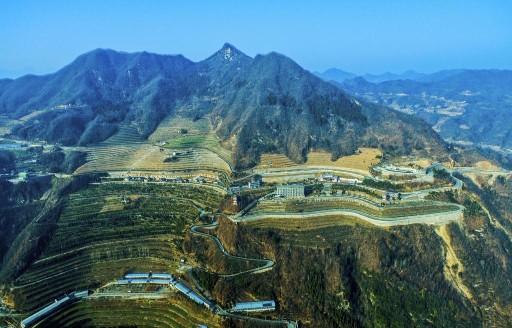 8cda58eb-3f8f-4e9d-abe9-d7386c50832e.png 8cda58eb-3f8f-4e9d-abe9-d7386c50832e.png