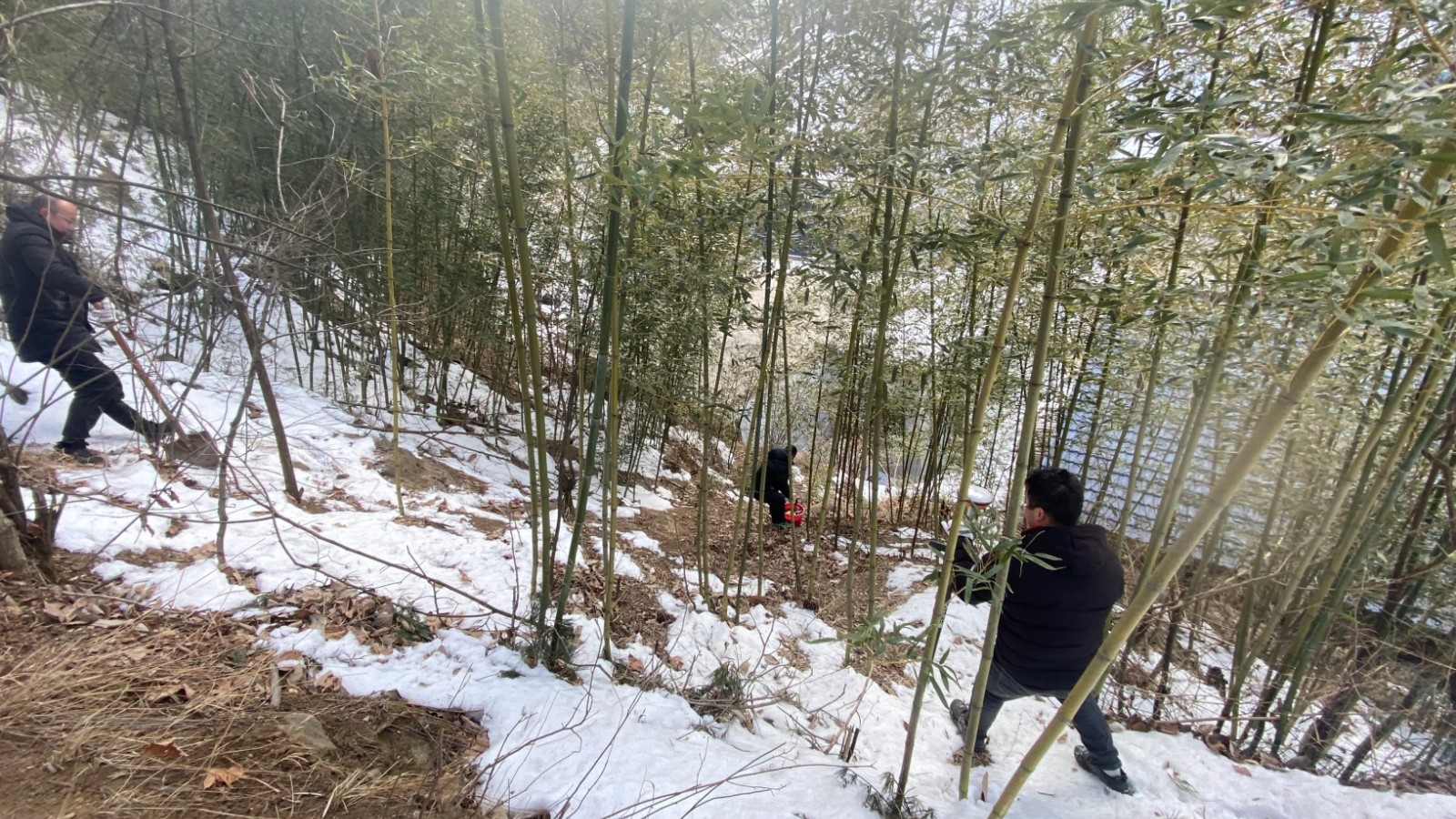 a0f98ec9-c8b1-40d2-9e7b-2ce6f9b0d665.jpg a0f98ec9-c8b1-40d2-9e7b-2ce6f9b0d665.jpg