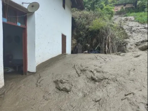 b9c9be18-aa66-4cd1-93d0-fa0ab9cd02a5.jpg b9c9be18-aa66-4cd1-93d0-fa0ab9cd02a5.jpg