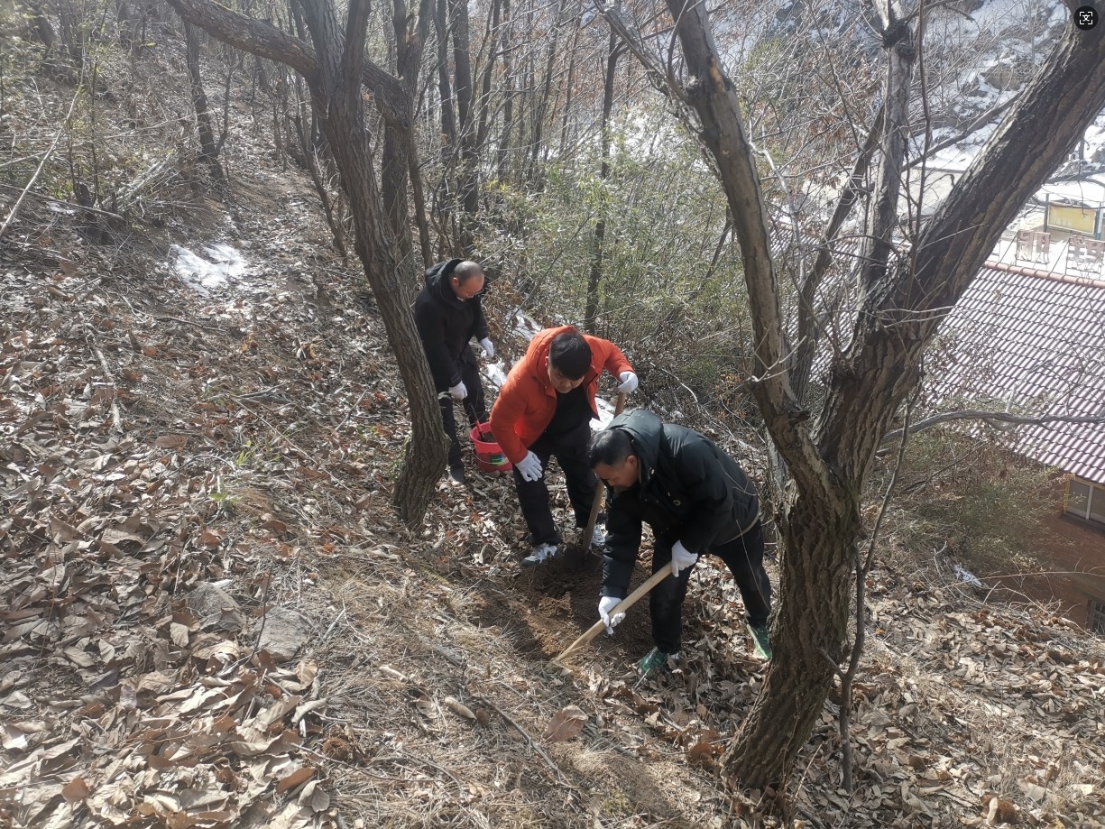 d985d336-ea95-4c2d-95d0-7ec4fc0cfa7d.jpg d985d336-ea95-4c2d-95d0-7ec4fc0cfa7d.jpg