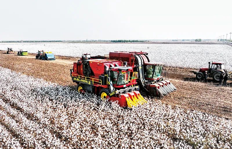 e5af97cc-04c1-4cbf-8fa5-f4833761b52c.jpg e5af97cc-04c1-4cbf-8fa5-f4833761b52c.jpg