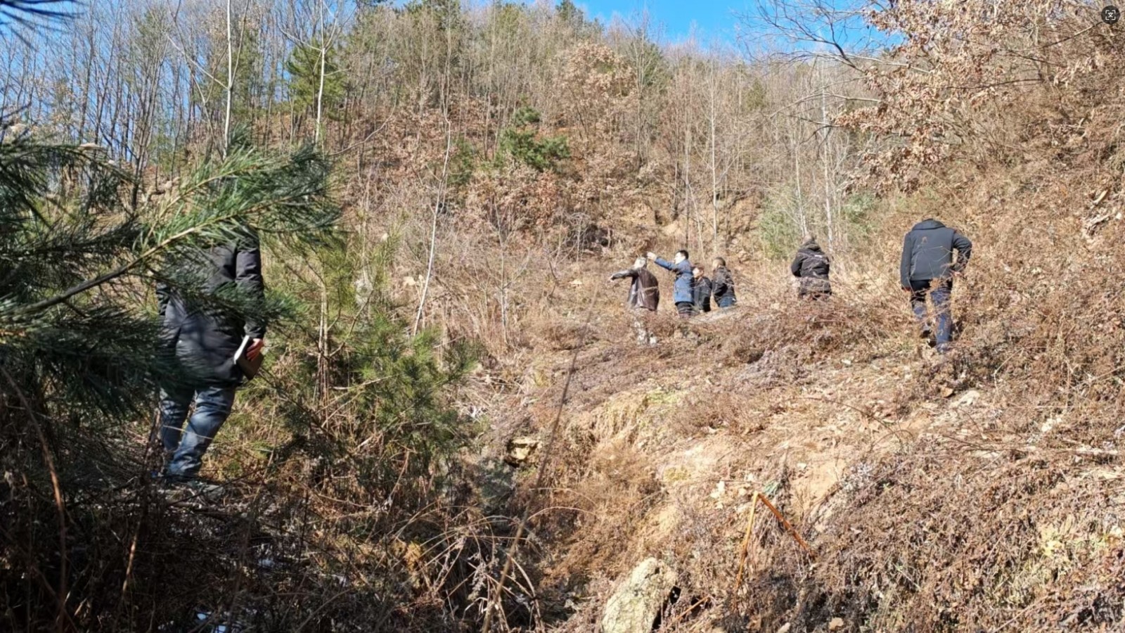 eb993fa3-2116-4f1b-958d-e3f05b508304.jpg eb993fa3-2116-4f1b-958d-e3f05b508304.jpg