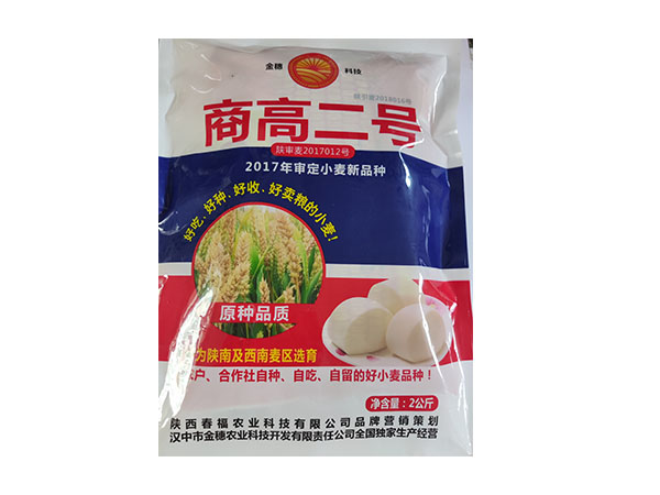 陕西汉中商高二号-小麦品种