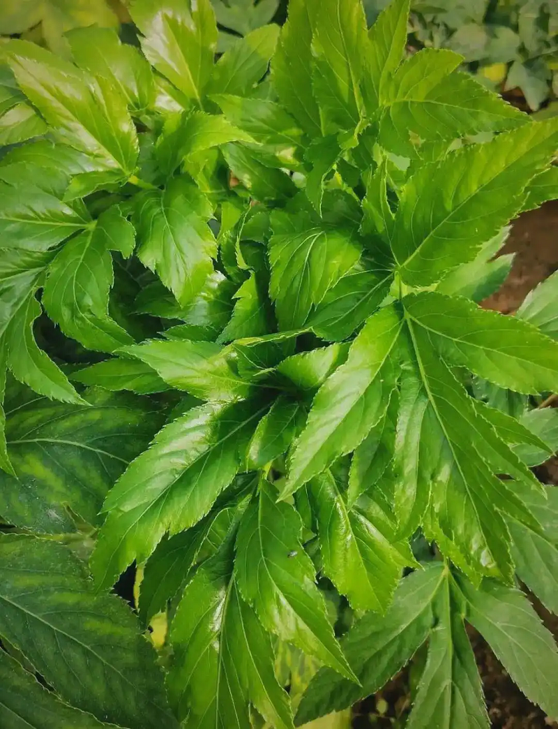 6c829e3c-a9ed-4708-b726-2901c773d9f0.png
