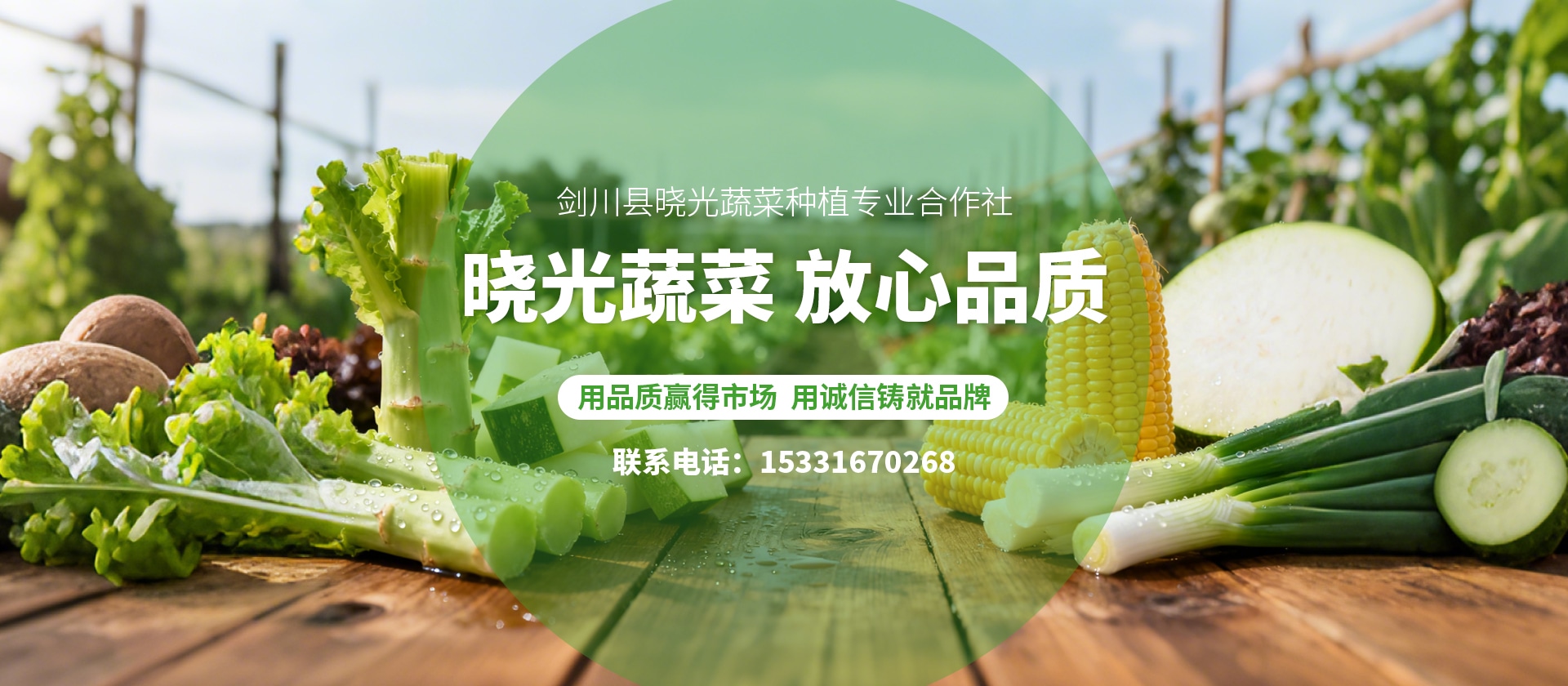 首页Banner03
