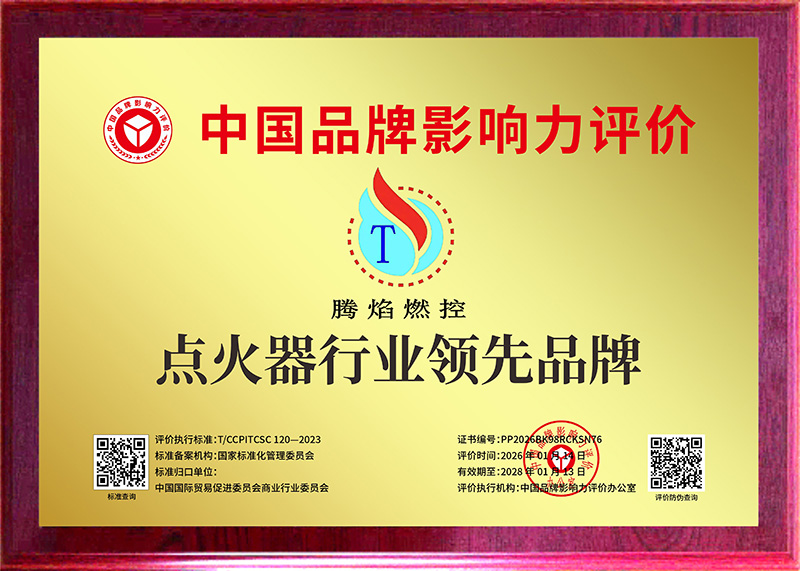 中国品牌影响力评价