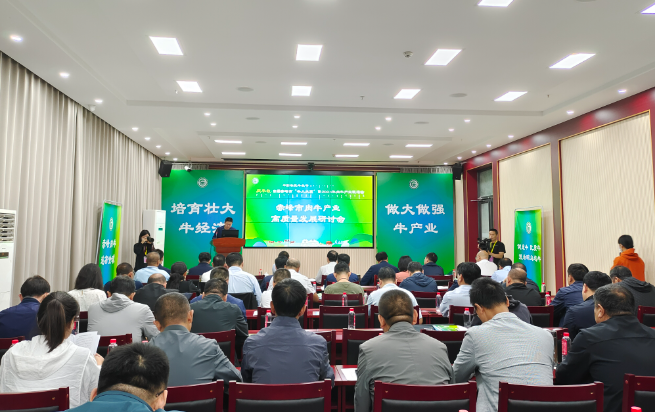 7c02d6dd-a53d-4494-ac99-d4cf170809bc.png 7c02d6dd-a53d-4494-ac99-d4cf170809bc.png