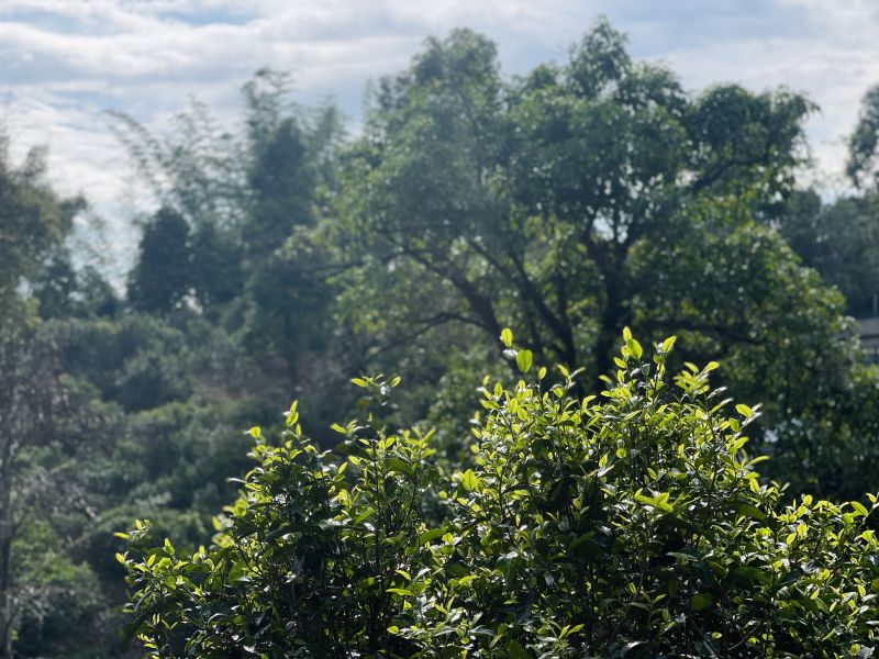 338049a5-6b82-48ca-b431-be511e0b50df.jpg 338049a5-6b82-48ca-b431-be511e0b50df.jpg