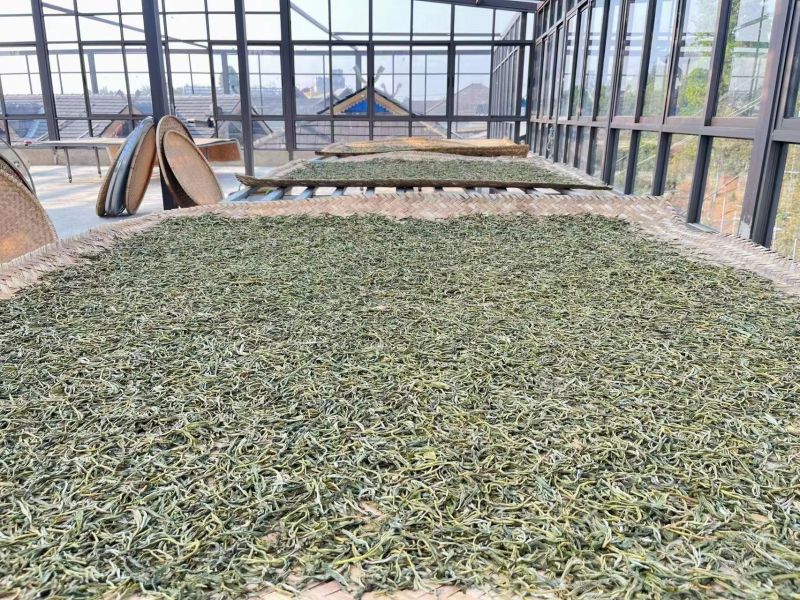 e9c4cb65-4c64-41fd-a586-012a40349729.jpg e9c4cb65-4c64-41fd-a586-012a40349729.jpg