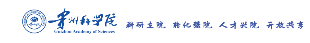 746d6050-bd80-4cd6-ace1-41b3c141b20b.png