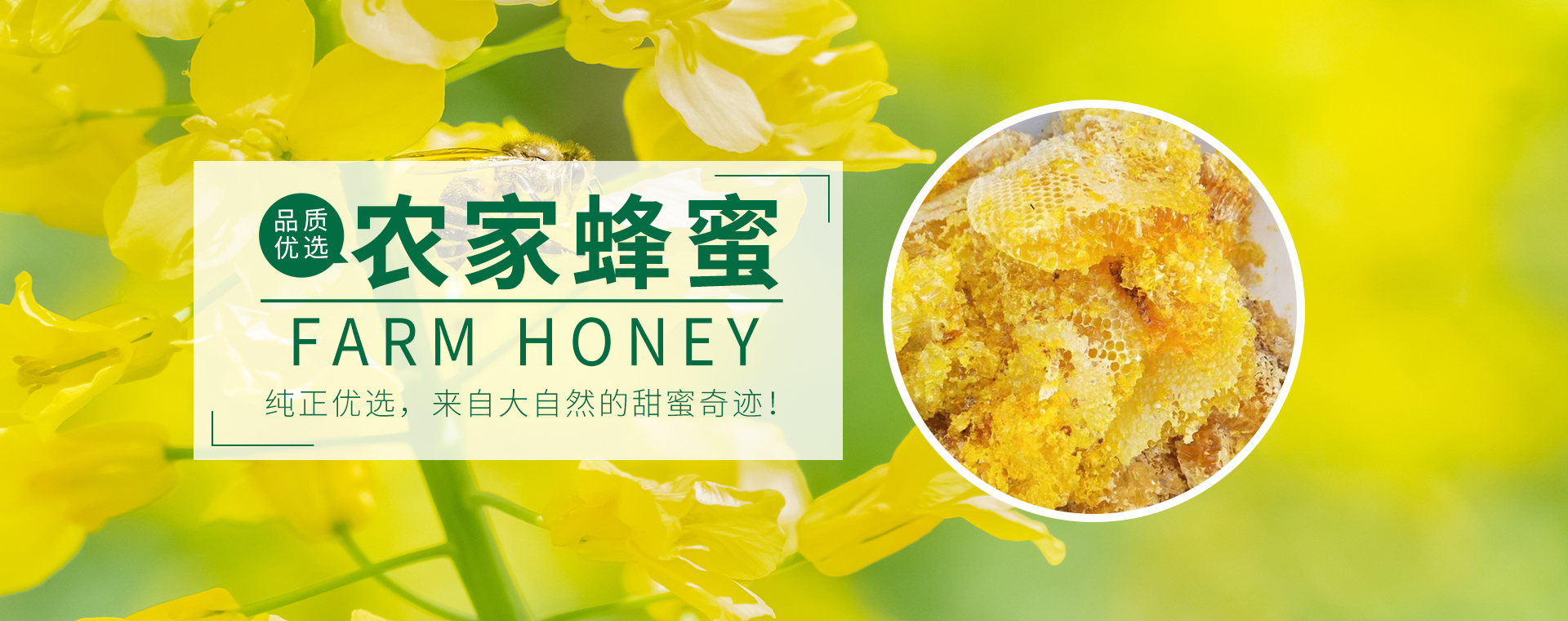 首页Banner1