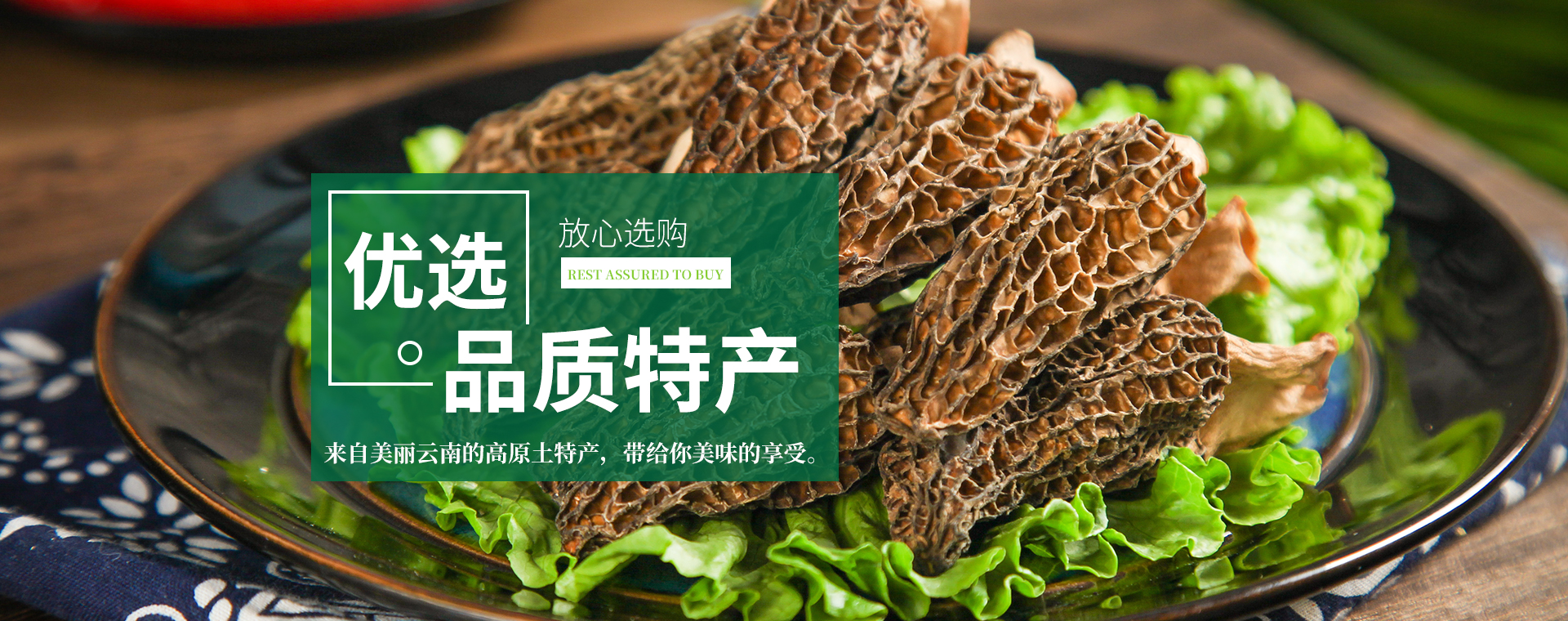首页Banner2