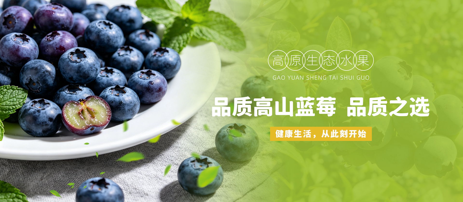 首页Banner01