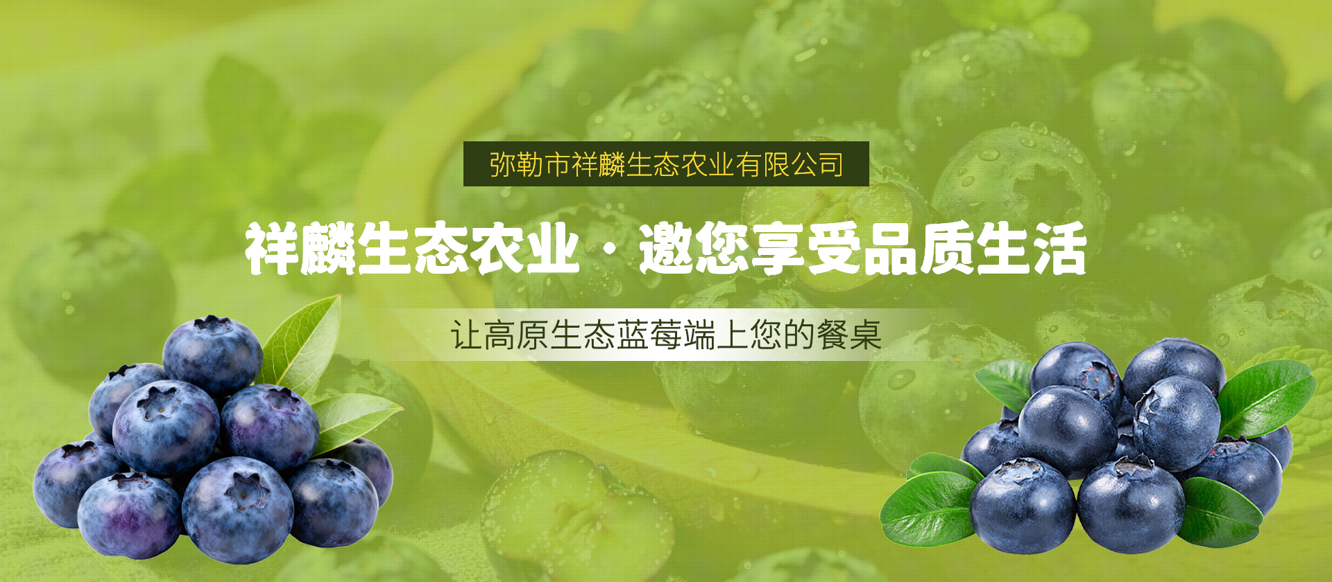 首页Banner02