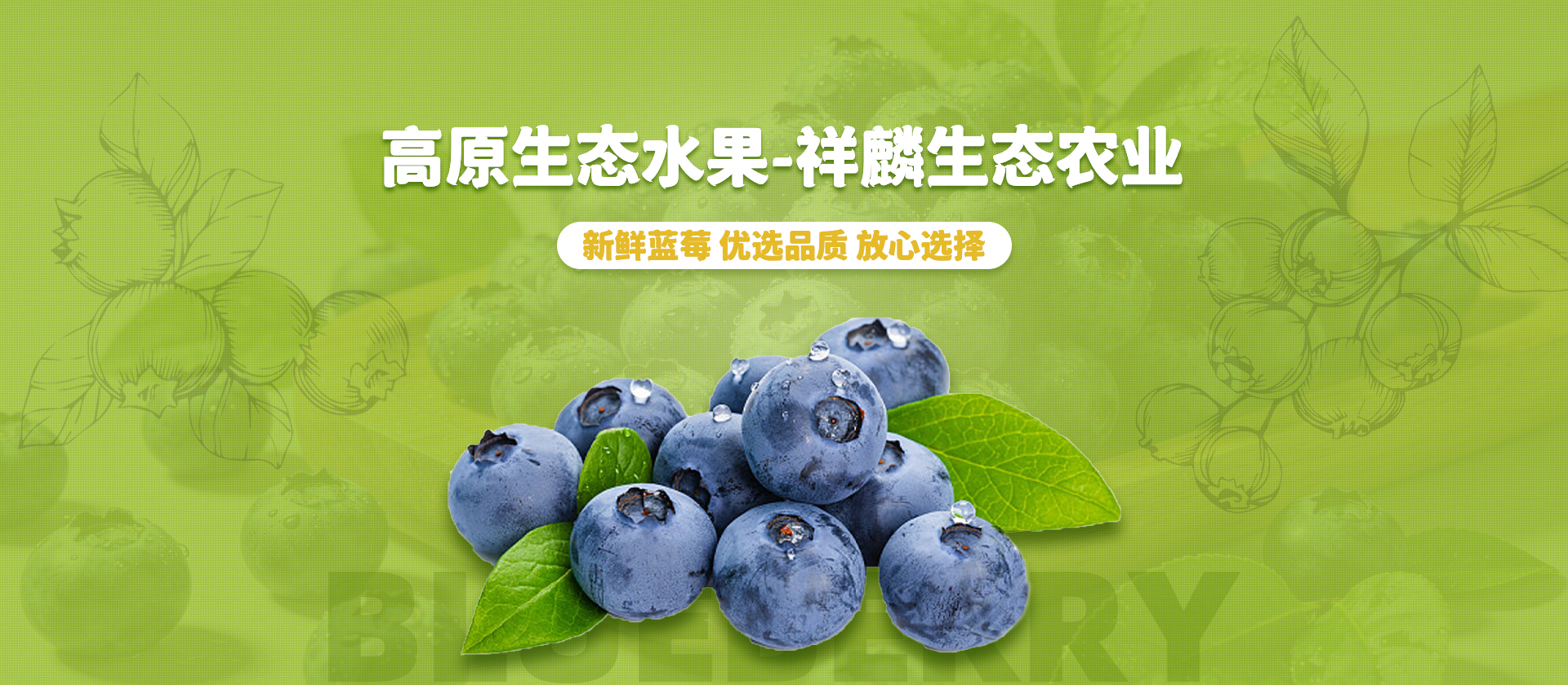 首页Banner03