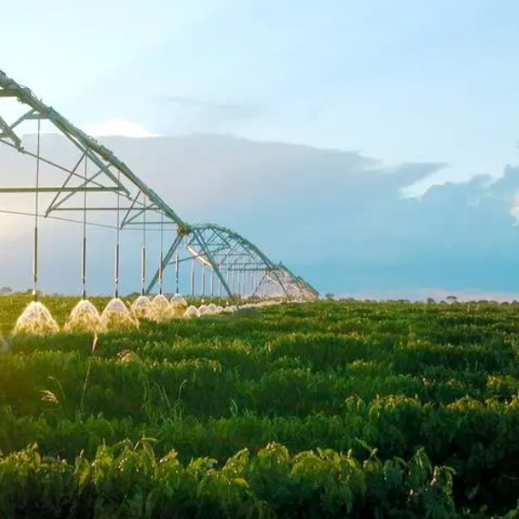 甘肃地区顶峰农业：共创甘肃优质农产品的未来