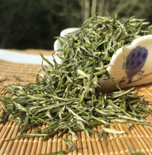 甘肃地区陇南绿茶供应商：优质绿茶批发
