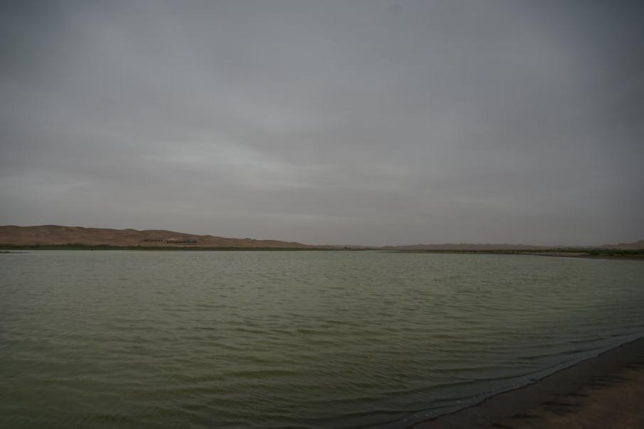 1002c4f6-e9e0-414a-806d-259cbb7c92fd.png