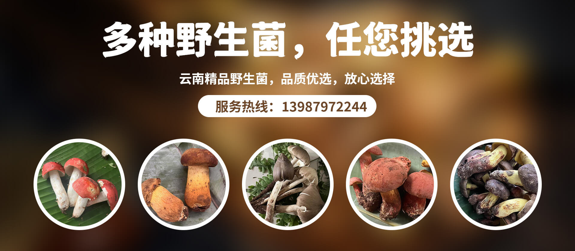 首页Banner02