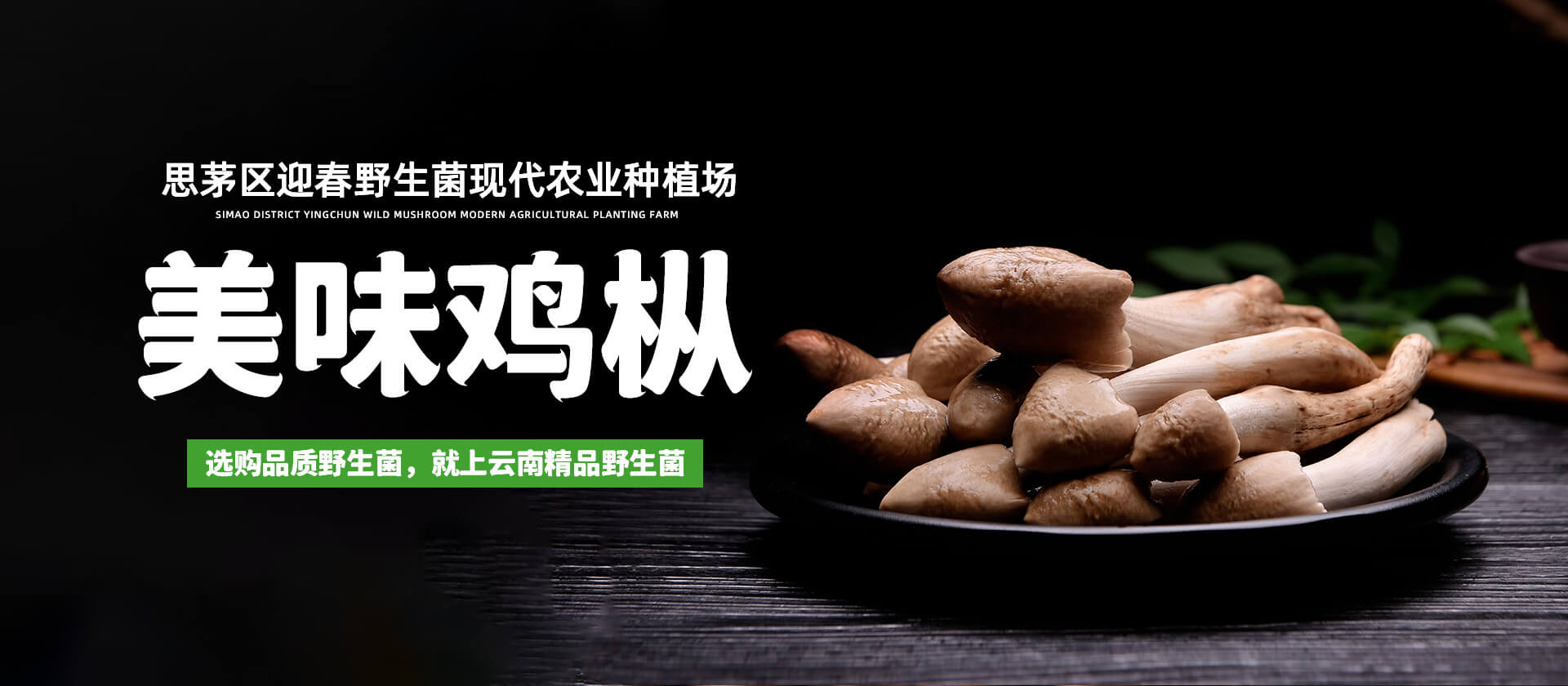 首页Banner01