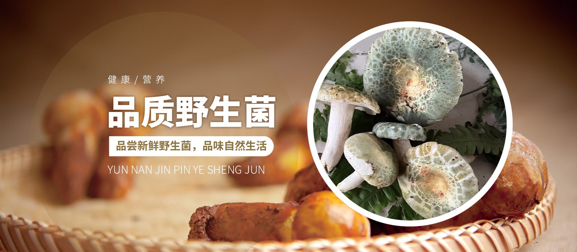 首页Banner03