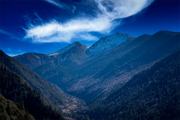 fea20826-cccf-4dee-857a-240da4fb08fc.jpg fea20826-cccf-4dee-857a-240da4fb08fc.jpg