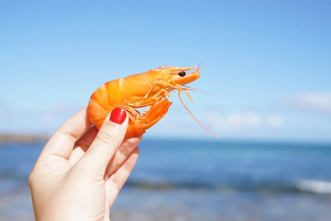 想吃海虾？山西运城市价格公道，味