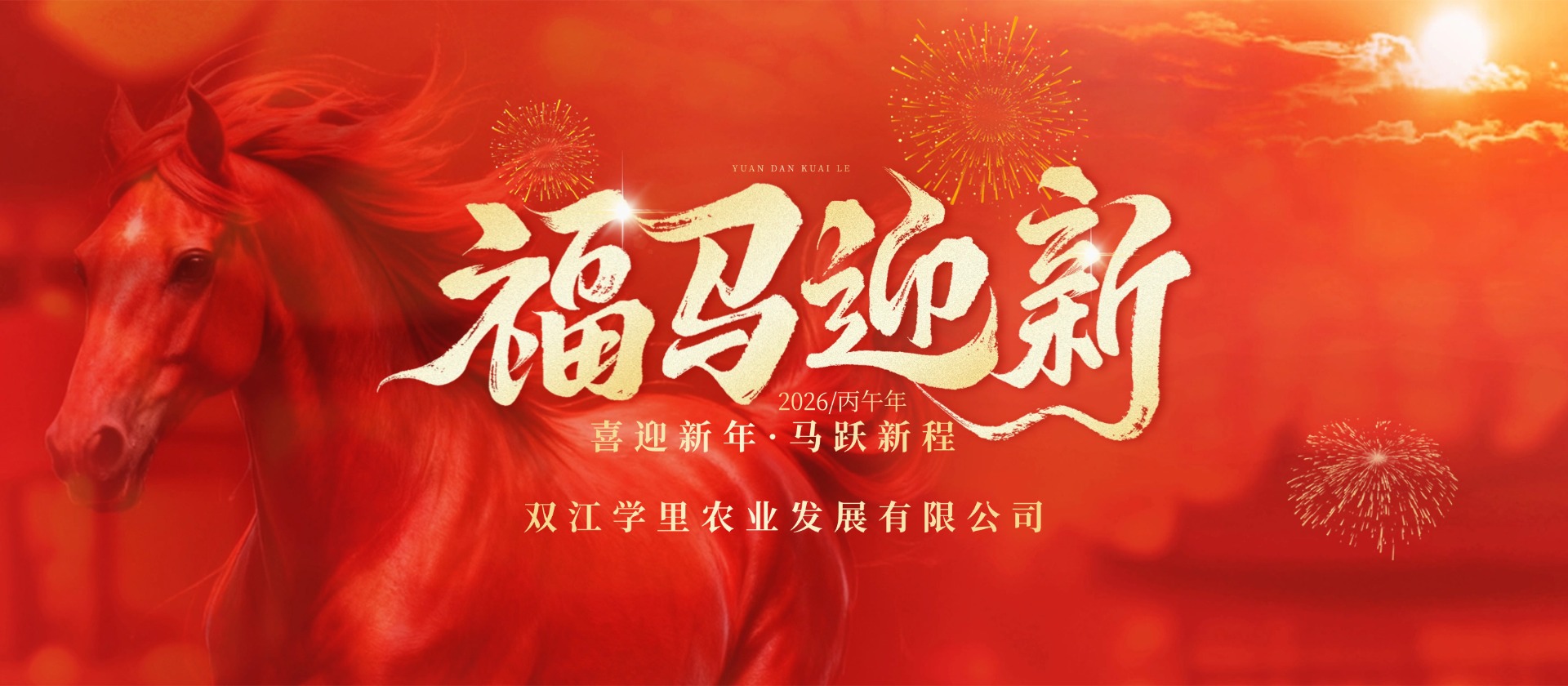 春节banner