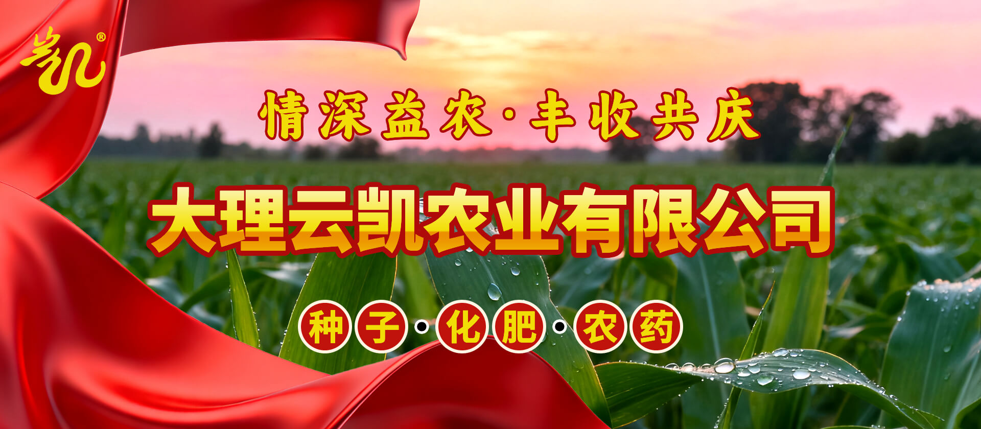 首页Banner03